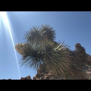 Meet your Posher, Ann